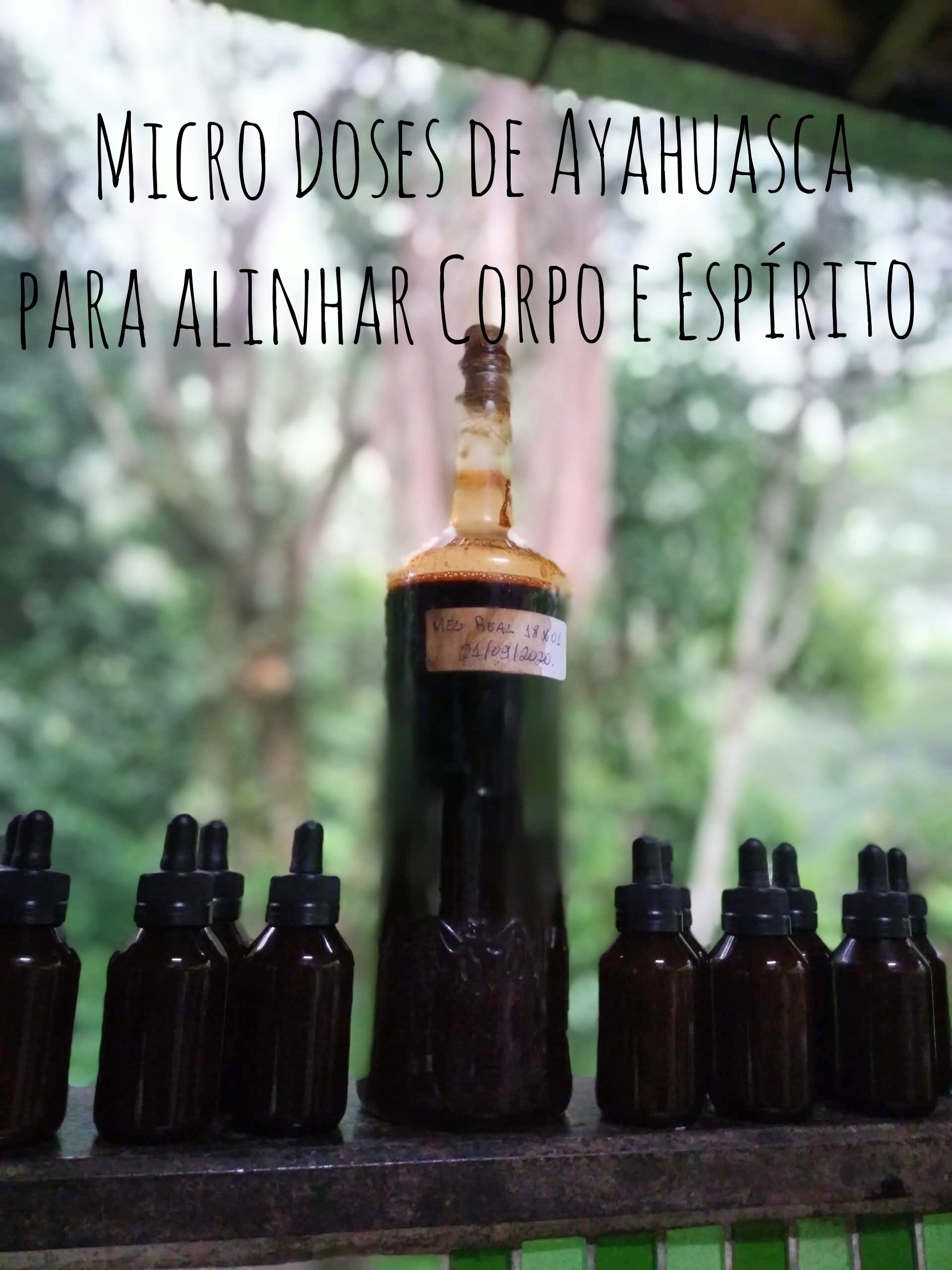 Medicinas da Floresta